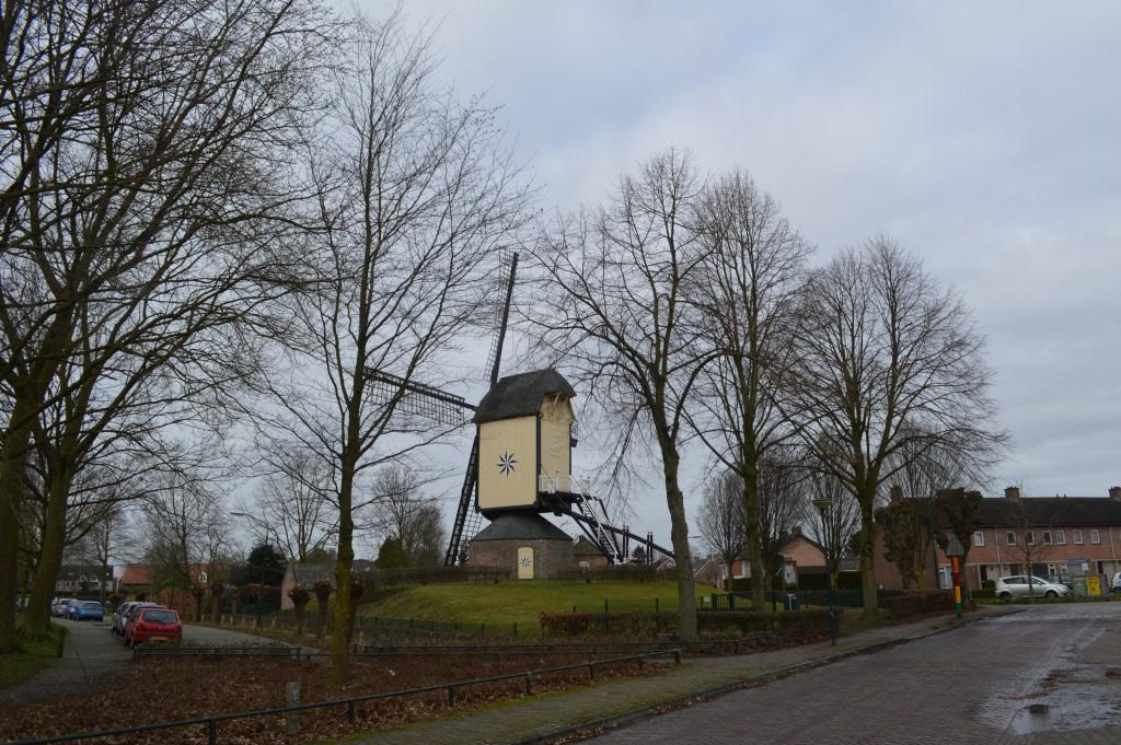 De molen gezien vanuit de richting vanaf de Korenstraat in zuidwestelijke richting.