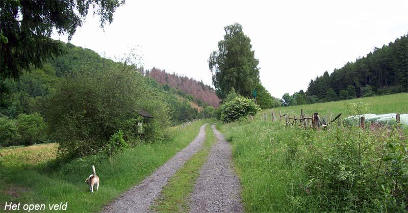 Ook deze laten we voor wat ze is Na ongeveer 600 meter komen aan de rand van het eerste stuk bos en staan we op het punt verder te wandelen door de velden.