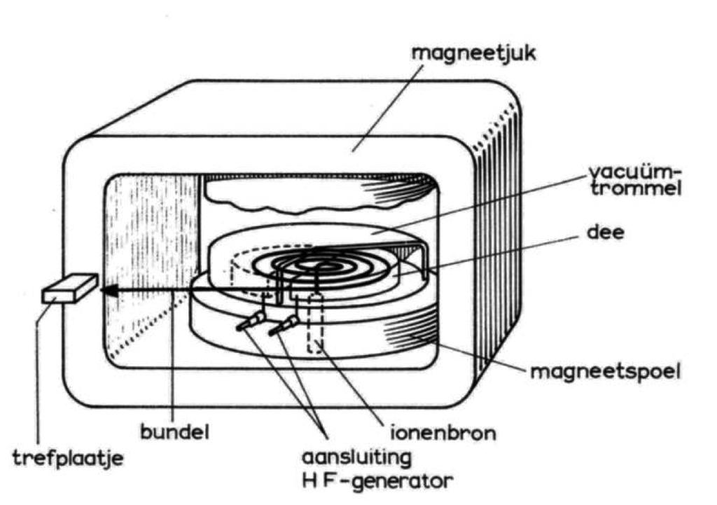 In een cyclotron, worden de deeltjes versneld in steeds grotere cirkelbanen; ze zijn gevangen binnen het sterke magneetveld.
