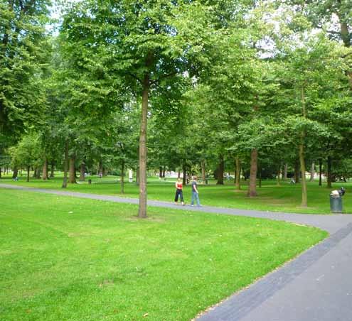 Langs de ontsluitingsweg worden bomen in het profiel opgenomen.