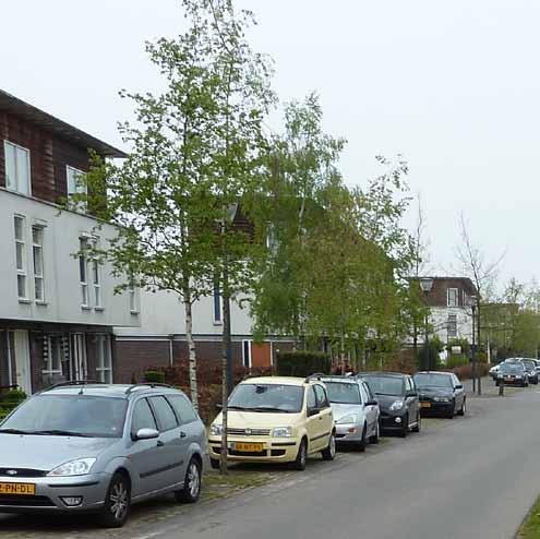 Het bos zal daarvoor wel uitgedund moeten worden in het bos wordt een natuurlijke