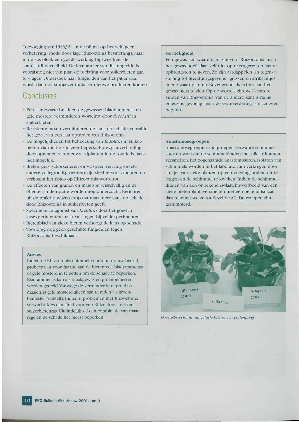 Toevoeging van IRS632 aan de pil gaf op het veld geen verbetering (mede door lage Rhizoctonia besmetting), maar in de kas bleek een goede werking bij twee keer de standaardhoeveelheid.