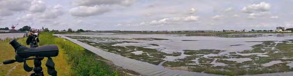 Natuur en landschap in de Delta Toenemend maatschappelijk belang Kwetsbaarheid wordt beïnvloed door Temperatuur en ecosysteem Wet-