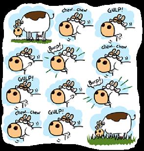 Bedenk hoe je aan het gedrag van een koe kan zien of ze gezond is. 4. En waaraan kun je nog meer zien dat een koe gezond is? 5. Hebben de koeien hoorns? Zo niet, waarom niet denk je? 6.