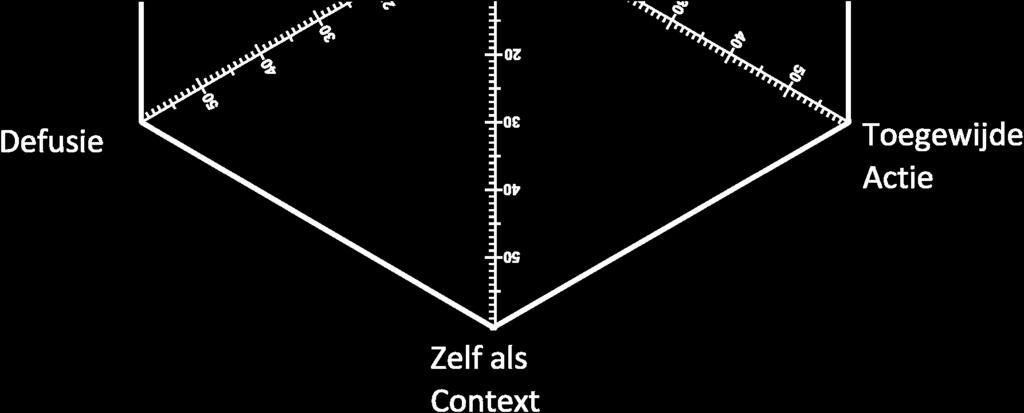 Toegewijde Actie Flexibiliteits Index