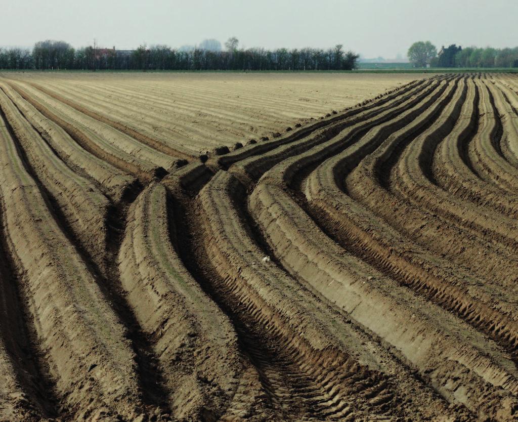 Bodemtransitie, een kwestie van het juiste spoor kiezen (foto J.M.