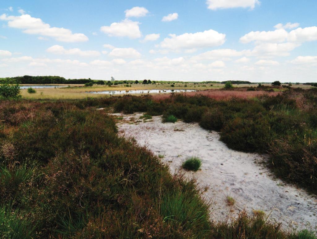 De Brabantse zandgronden Noord-Brabant heeft van nature een zandige ondergrond, waarin verontreinigingen zich makkelijk met het grondwater verspreiden.
