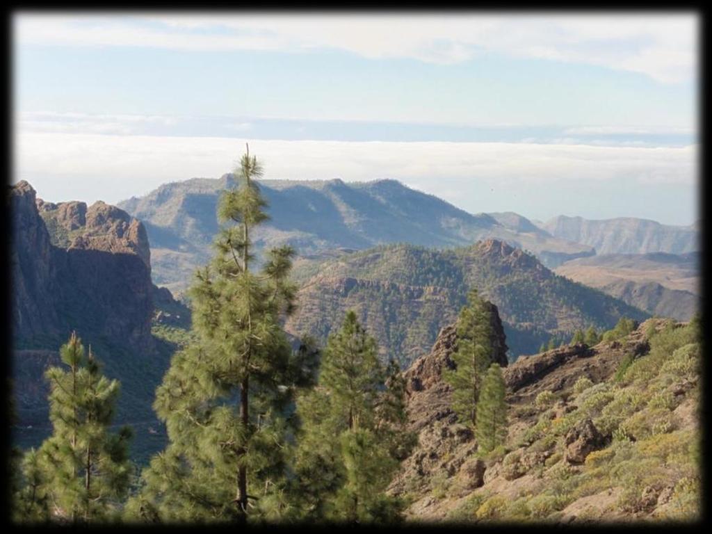 Enkel Pico de las Nieves is met