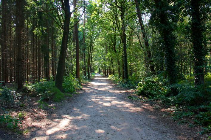 Natuurgebied Klein Zwitserland De naam Klein Zwitserland komt voort uit, u raadt het al, de kleine hoogteverschillen die in dit natuurgebied te vinden zijn.