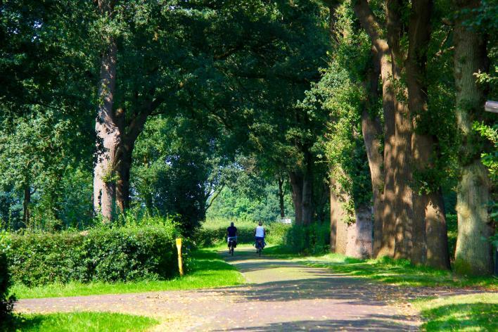 Het gebied kenmerkt zich door veel variatie: bossen, heidevelden en cultuurgrond Ecoduct Suthwolda De reeks natuurgebieden Zwarte Gat, De Slagen en Steenberger Oosterveld aan de oostkant van de N48