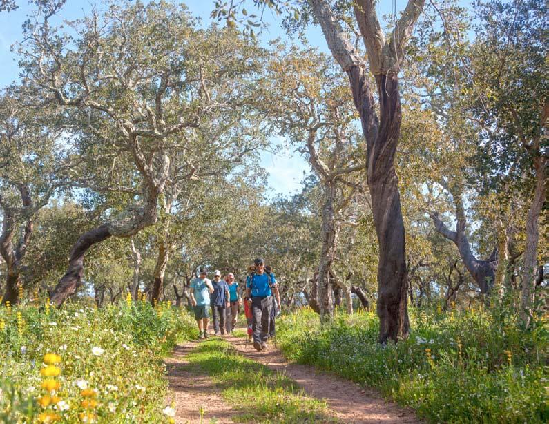 Schitterende wandelroutes tijdens het Ameixial Walking Festival Ameixial Walking Festival Dit 3-daagse festival wordt gehouden in april.