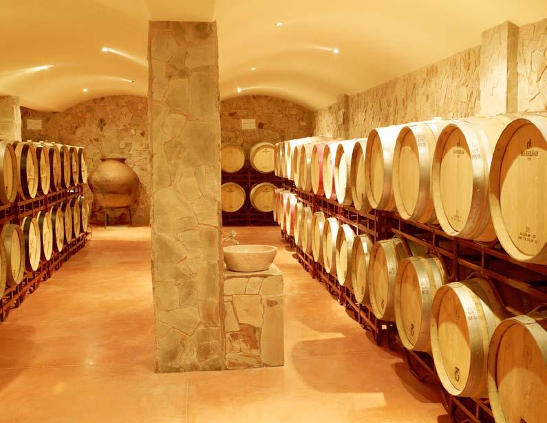 Wijn De Algarve is een zonnige wijnregio met een flinke wijnproductie. Door het perfecte klimaat is de kwaliteit uitstekend en de interesse in de lokale wijnen groeit.