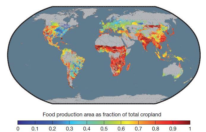 Verdeling van landbouw over gewasproductie (1530 milj ha) en grasland (3380 milj ha) (12% + 26%