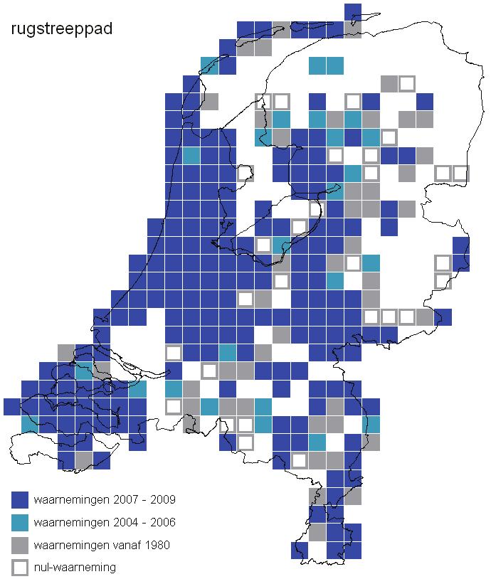 Eindrapport verspreidingsonderzoek reptielen en amfibieën 2009 4.2.5 Rugstreeppad Verspreiding binnen Nederland De rugstreeppad wordt in alle Nederlandse provincies gevonden, behalve in Groningen.