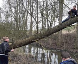 De ene had geelzwarte strepen en de ander was helemaal zwart met stekels. Bijeenkomst 28 januari: Vogels tellen Deze ochtend hebben we meegedaan aan de Landelijke Tuinvogeltelling.