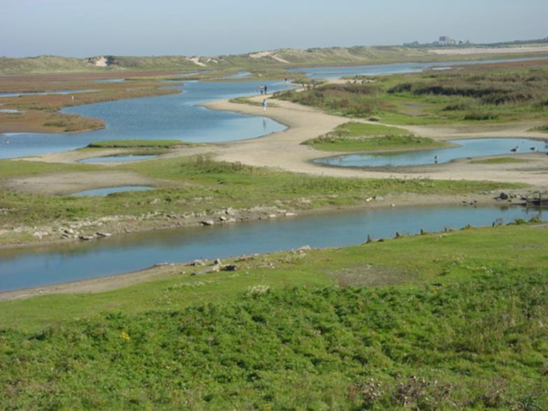 Waterhuishouding omgeving Zwin VMM 213 hectare natuurreservaat- gelegen op de grens tussen België en Nederland bedreigd door sedimentatie
