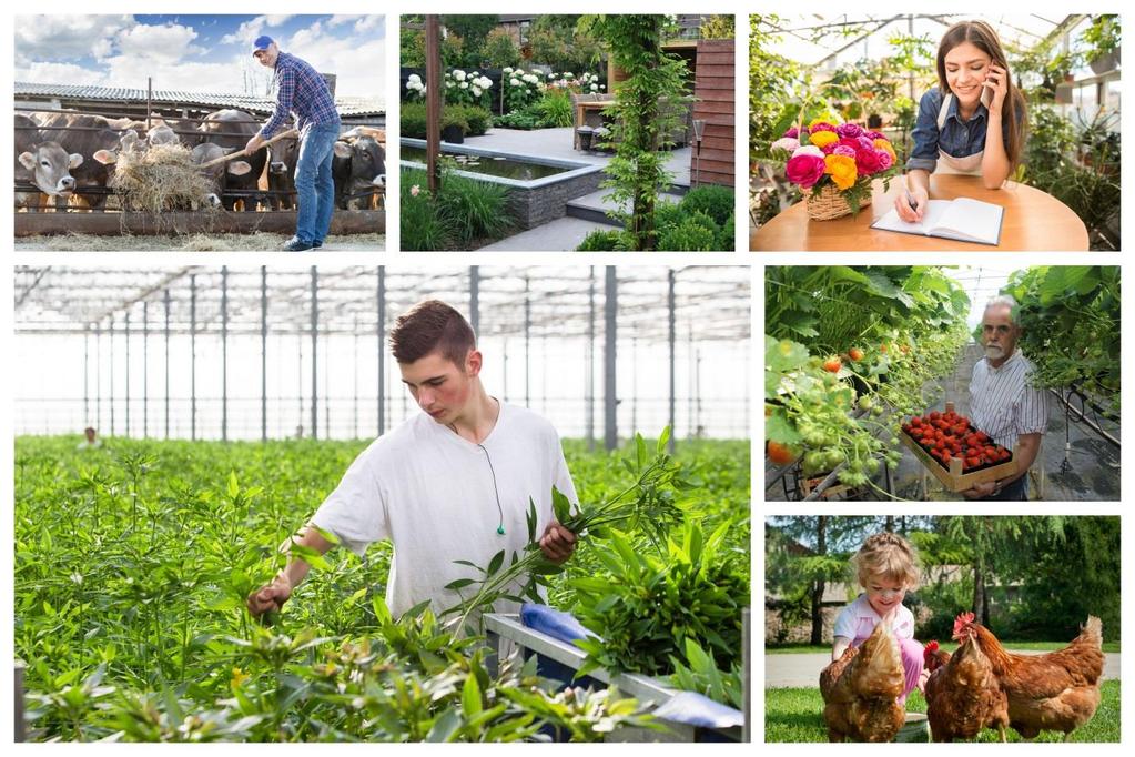 Project 7 Ik verken het Groen-profiel A In dit project maak je kennis met het profiel Groen. Je verkent de profielgebonden, algemene vakken, de keuzevakken en de profielvakmodules van Groen.