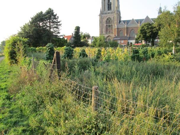 Deelgebied B Deelgebied B betreft de voormalige bedrijfslocatie aan de Rijnstraat 24.