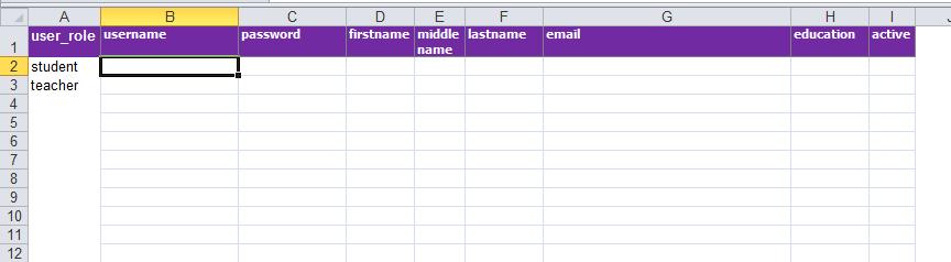 Grote aantallen gebruikers importeren Een komma gescheiden bestand maken Download het voorbeeld Excel document en open deze. De bovenste paarse balk laat u ongemoeid.