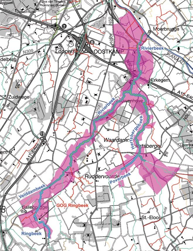 Figuur 2-1: Het modelgebied van de Rivierbeek met aanduiding van de gemodelleerde waterlopen, overstromende gebieden en het GOG