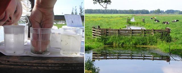 De betrokkenheid van burgers bij natuur en landschap loopt uiteen: Totaal afwezig; Licht betrokken, bijvoorbeeld als lid van een natuurbeschermingsorganisatie, door incidenteel mee te gaan met een