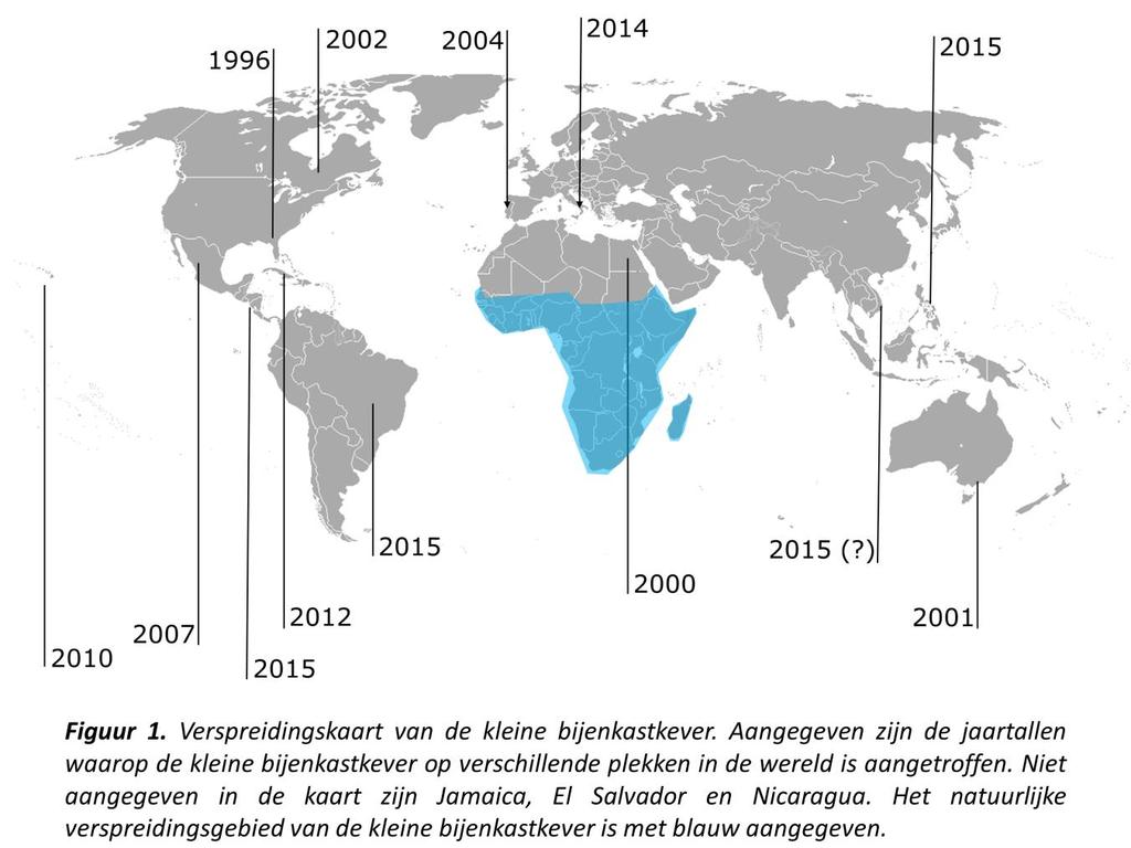 Tabel 1. Overzicht van de landen waar de kleine bijenkastkever is aangetroffen, buiten het natuurlijke verspreidingsgebied in Afrika beneden de Sahara.
