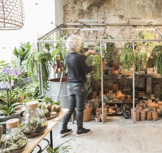 Groene Vingers MAP QUADRANT // I-11 4 The experience shop Groene Vingers is all about passion for plants, flowers, interior and gifts.