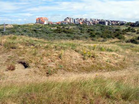 Dat geldt in het bijzonder voor het komgrondengebied van Lampernisse en de oude kleiputten van Stuivekenskerke, waar ook een aantal fiets- en wandelroutes doorheen lopen.