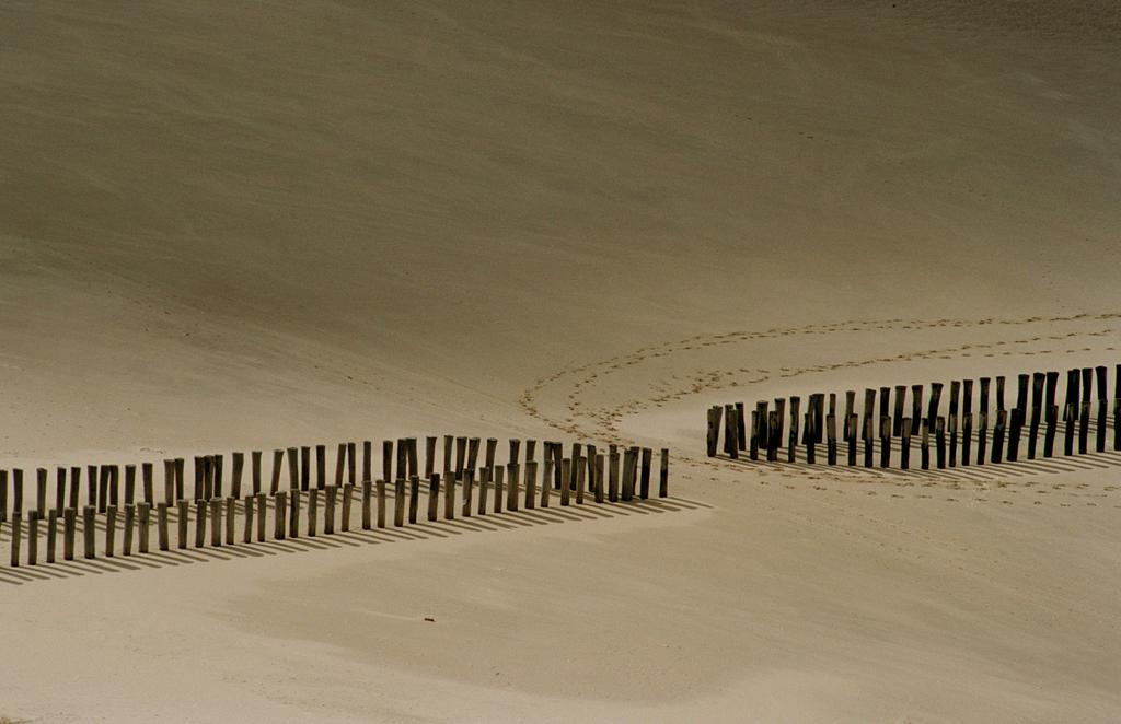 Wachters aan de waterlijn Verweerd door storm, zout, zon en kou, bewaken de paalhoofden op het strand van Walcheren de kust. De houten monumenten trotseren al eeuwen eb en vloed.
