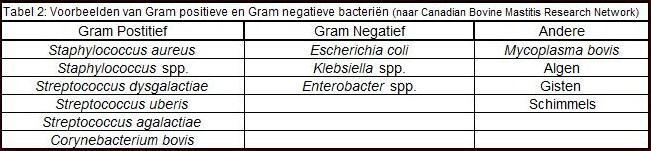 2.3. Indeling op basis van het spectrum De Deense wetenschapper Hans Christian Gram ontwikkelde een manier om bacteriën te kleuren.