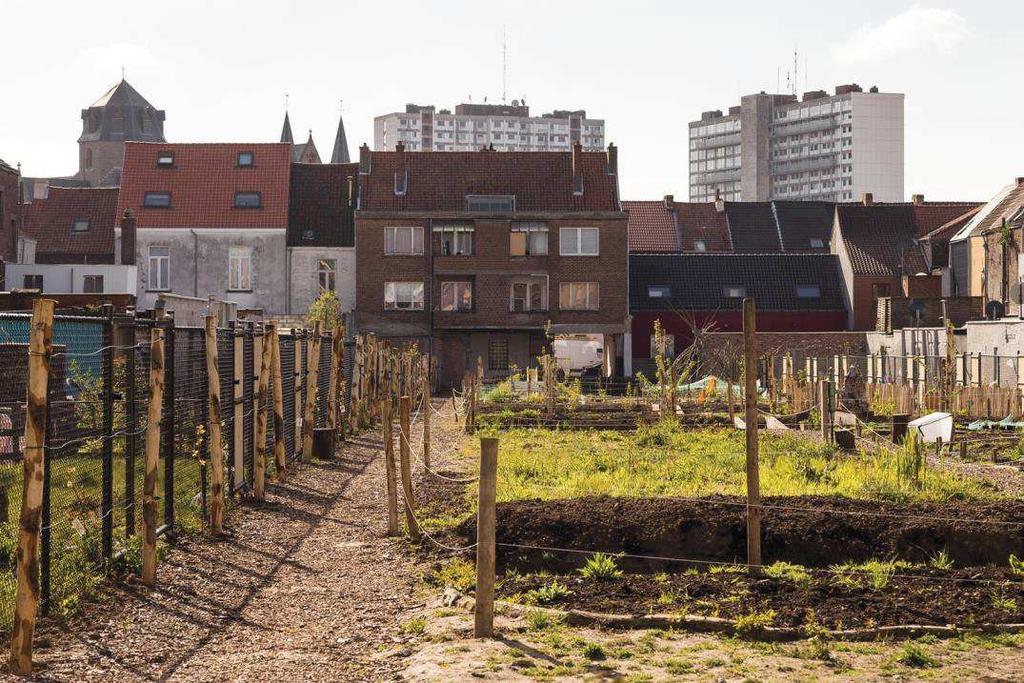 1. Wijs verdichten en verluchten Verluchten