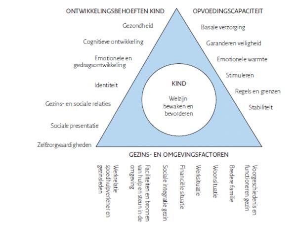 De volgende driehoek geeft weer welke domeinen van belang zijn om gezond te kunnen opgroeien: Figuur 2.
