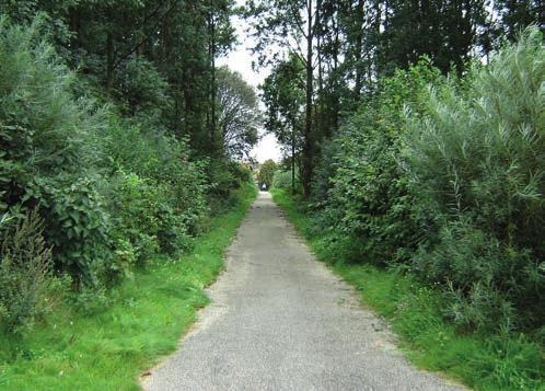 Eenmalig na 8 jaar afzetten elzen 1 keer per 4 jaar dunnen bosheesters, verwijderen boomvormers. Sortiment aanpassen op locatie en bodem.