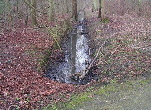 Waterafvoer Greppel in beplanting Aangebracht met