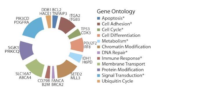 2011, Lohr et al 2011,