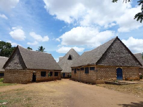 Door het gebruik van grasdaken op een houten constructie zijn door de termieten plaag de shades op de middelbare school in Kwale inmiddels ingestort en verwijderd.