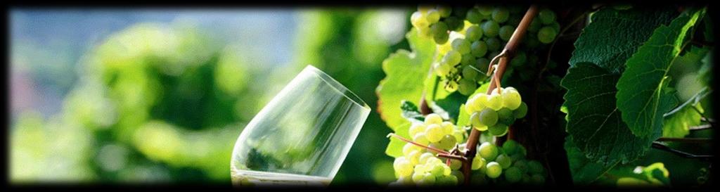 W I J N K A A R T WITTE WIJN per glas per fles La Croix d Argent, Frankrijk 4 21,50 Le Versant Viognier Pays d oc, Frankrijk 5,80 29 Pinot Grigio, Italië [biologisch] 6,30 31,50 Azul Vinho Verde,
