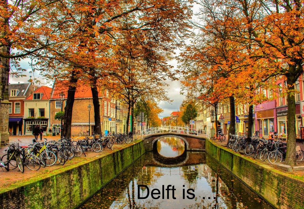 Delft scherp