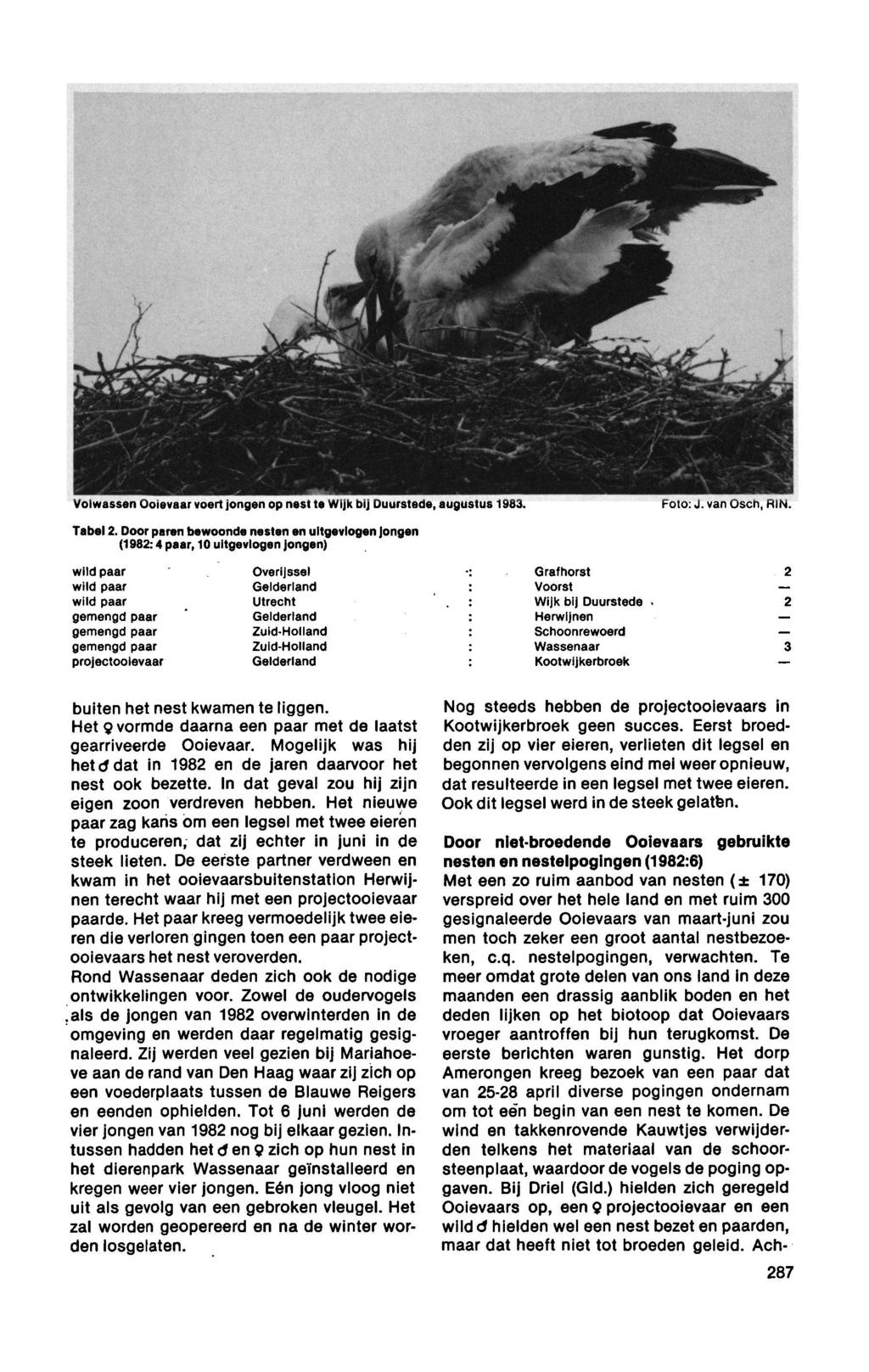 wild paar Gelderland Voorst Volwassen Ooievaar voert jongen op nest tewijk bij Duurstede, augustus 1983. Foto:J. van Osch, RIN. Tabel 2.