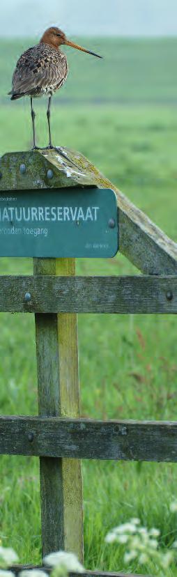 gebeuren. Opgemerkt wordt dat te veel lijkt te worden gereageerd op bedreigingen. De vraag is dan of je je niet meer moet richten op de kansen die er zijn.