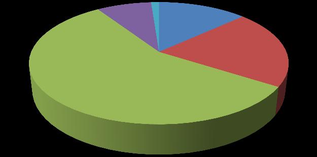 Aantal personeelsleden naar niveau 1 4 17 2 46 10 3 (leerl.) 3 4 5 De ratio van de personeelskosten t.o.v. de opbrengsten is 70% Aantal FTE's naar niveau 0,4 3,1 5,0 7,8 2 3 (leerl.