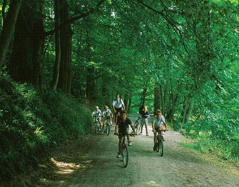 tussen Melsbroek, Kampenhout, Kortenberg en Veltem 2400011 Valleien van de Dijle, Laan en Ijse met