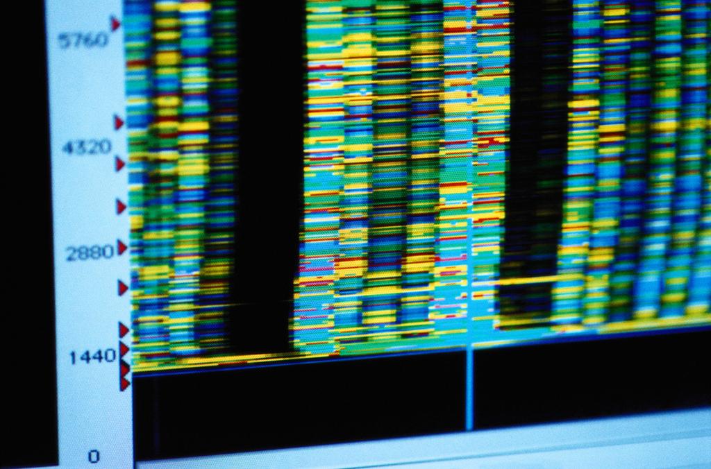 Nerds vs. kanker door Arnoud Groot leestijd: 6 min DNA bevindt zich in elke cel van elk levend wezen. De blauwdruk van het leven bepaalt elk aspect van ons lichaam.