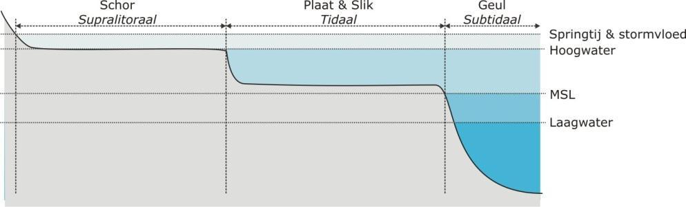 2 Deel A Sinks en sources 2.1 INLEIDING Sedimenthuishouding en waterhuishouding (getij, zoetwaterafvoer) van het Schelde-estuarium bepalen samen de fysische ontwikkeling.