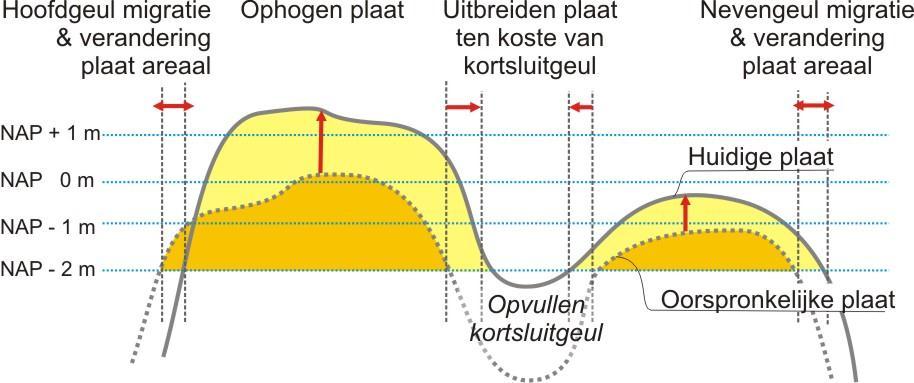 Duidelijke aanwijzingen over de wijze waarop de platen als sink voor sediment fungeren zijn niet af te leiden uit de ontwikkeling van de hoogte en het areaal.