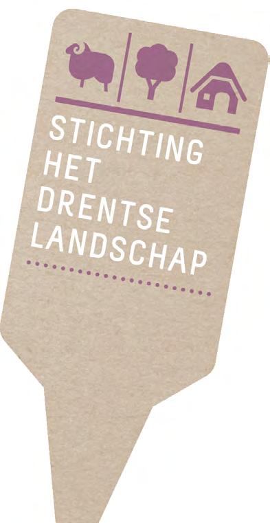 Geen grote stille heide, maar een reliëfrijk terrein met hoge