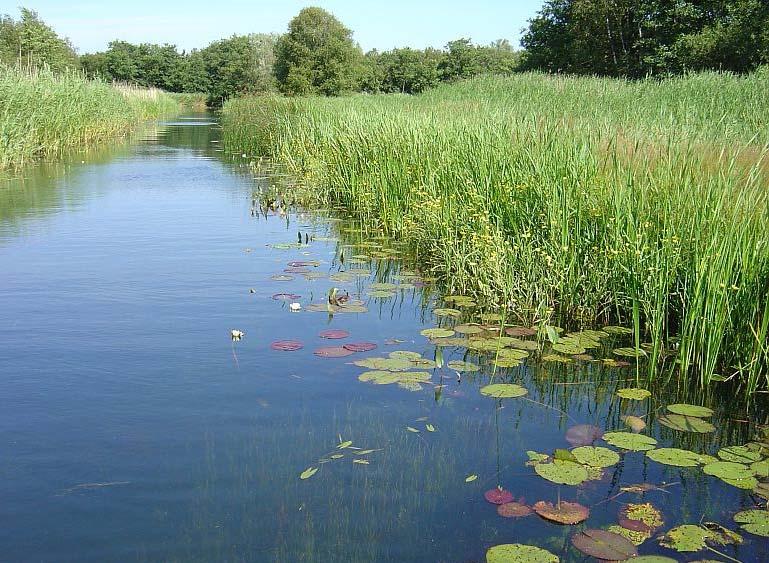 3. Van KRW naar Schoon Water Van verplichting naar positieve impuls Uniforme methode: Informatiehuis Water Afstemming met buurlanden Afstemming met andere beleidsterreinen (ROR,