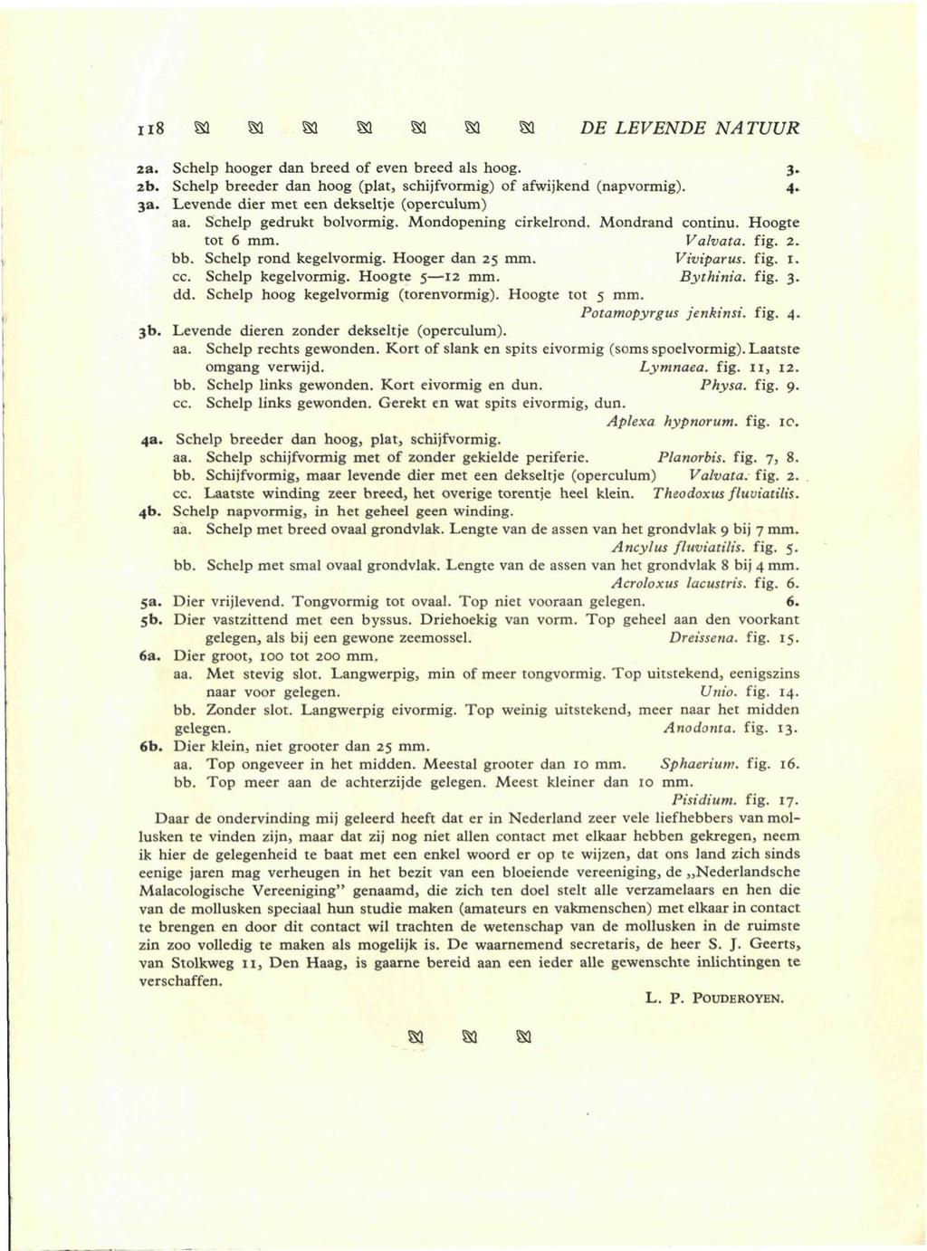 II8S3 SI S3 SI S3 S3 S3 DE LEVENDE NATUUR 2a. Schelp hooger dan breed of even breed als hoog. 3, 2b. Schelp breeder dan hoog (plat, schijfvormig) of afwijkend (napvormig). 4. 3a.