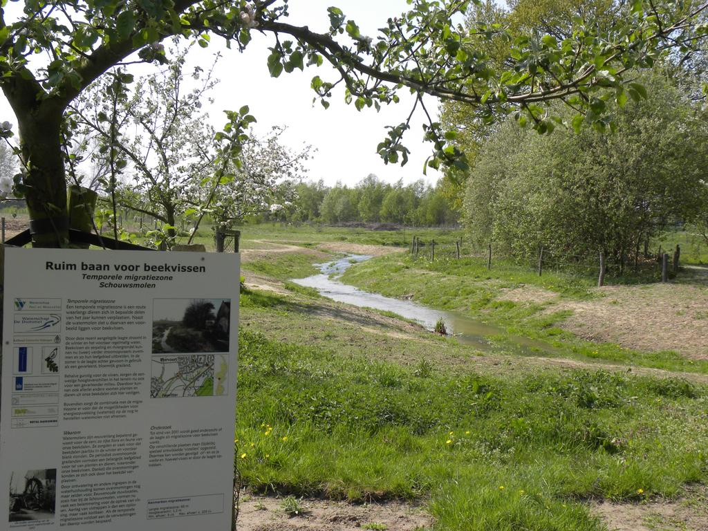 - te intensief landgebruik (molens nu opeens probleem) Heropenen overstromingsvlakte 17 Synthese Watermolens - Eeuwenlang de