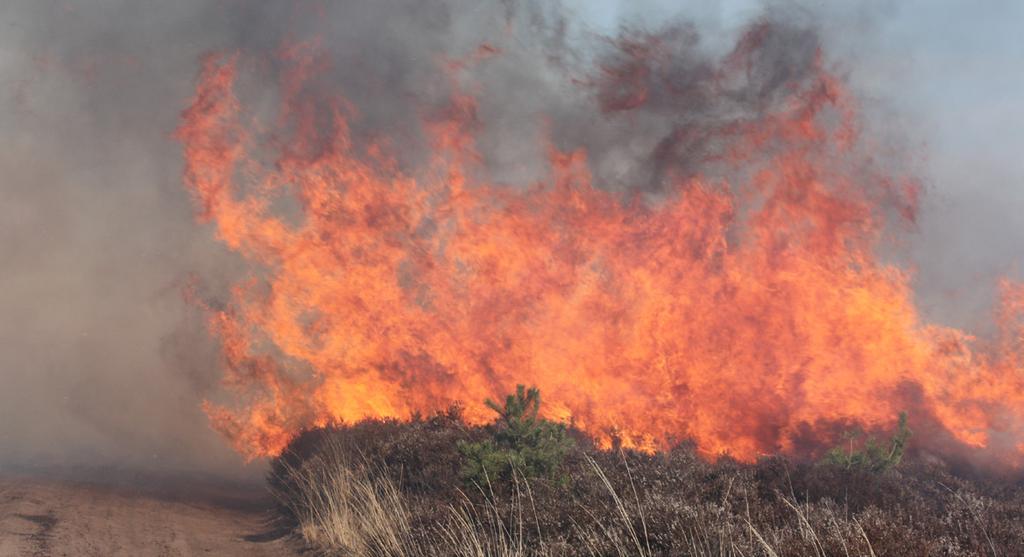 Wat is een onbeheersbare natuurbrand? Een onbeheersbare natuurbrand is in tegenstelling tot een beheersbare niet zondermeer door de brandweer succesvol te bestrijden.
